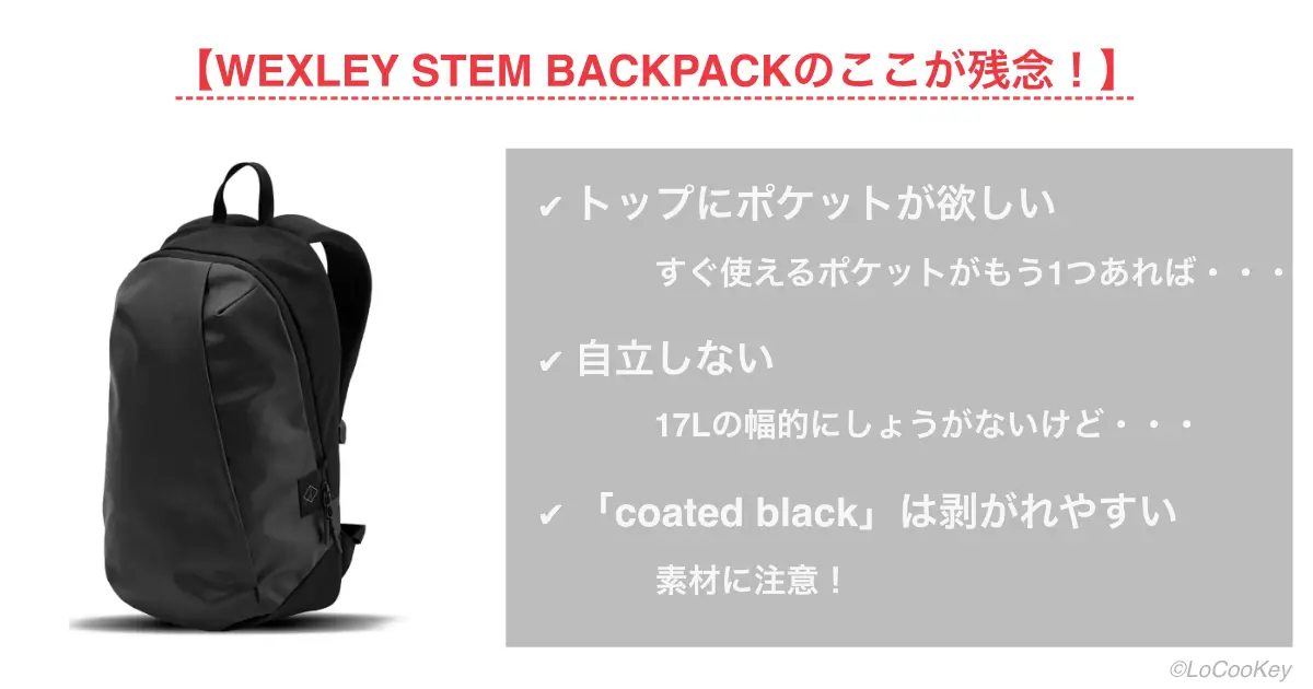 ウェクスレイ　ステム　バックパックwexley stem backpackの3つの残念なポイント